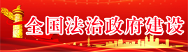 法治政府建设